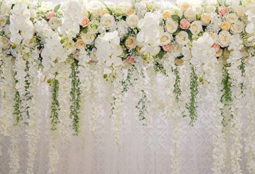 HUAYI 10x8ft White Flower Backdrop Curtain Floral 3d flower Wedding Party Background Photo Backdrop for wedding reception Baby shower Photo Booth Props Xt-6749 HUAYI 10x8ft White Flower Backdrop Curtain Floral 3d flower Wedding Party Background Photo Backdrop for wedding reception Baby shower Photo Booth Props Xt-6749