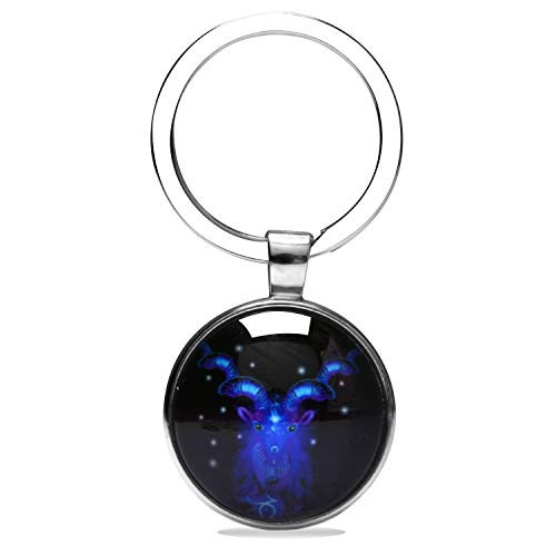 Zodiac Sign Keychain Zodiac Symbol Keychain Zodiac Constellation Sign Symbol Keychain Birthday Gift for Women Girls -WG-Capricorn-