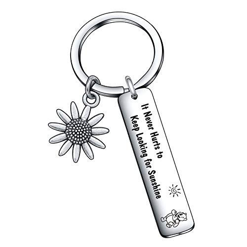 A.A Milne Quote Gift Sunshine Gift Best Friend Gift Sunshine Lover Gift Sunshine Lover Jewelry Sunshine Jewelry A.A Milne Quote Jewelry Sunshine Keychain Encouragement Keychain Encouragement Keyring