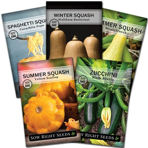 Sow Right Seeds - Squash Seed Collection for Planting - Individual Packets Straightneck Summer, Yellow Scallop, Black Beauty Zucchini, Waltham Butternut and Spaghetti Squash, Non-GMO Heirloom Seeds