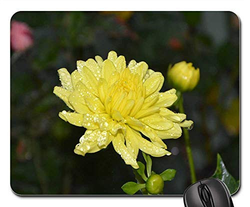 Mouse Pad - Yellow Flowers Button Flower Petals Country Nature