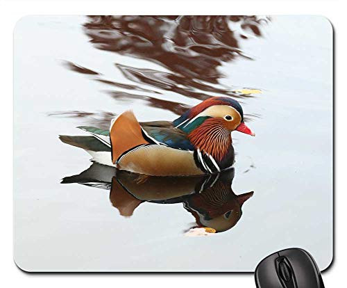 Mouse Pad - Mirror Ducks Water Bird Swim Pond Nature
