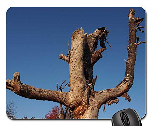 Mouse Pad - Tree Figure Wood Tribe Weathered Nature Butt