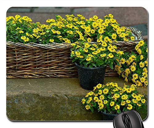 Mouse Pad - Flowers Yellow Flowers Hussar Button