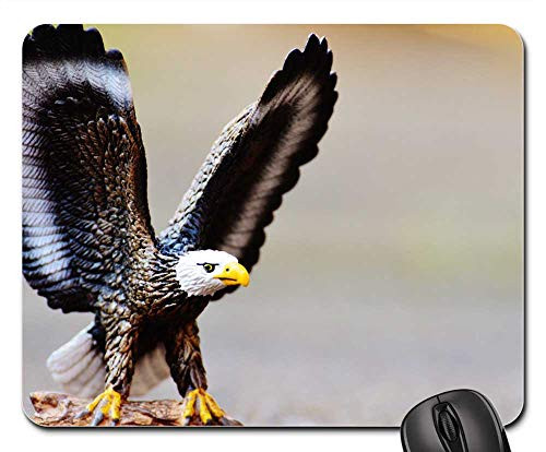 Mouse Pad - Adler Raptor Figure Toys Bird of Prey Bird