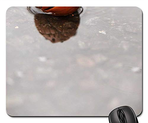 Mouse Pad - Figure Rain Nature Pumkin Weather Water 1