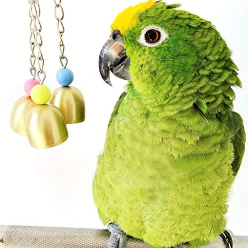 Bird Bells Toy Chew String for Parrot Macaw African Greys Cockatoo Budgies Parakeet Cockatiels Conure Lovebird Cage Toy Bird Bells Toy Chew String for Parrot Macaw African Greys Cockatoo Budgies Parakeet Cockatiels Conure Lovebird Cage Toy