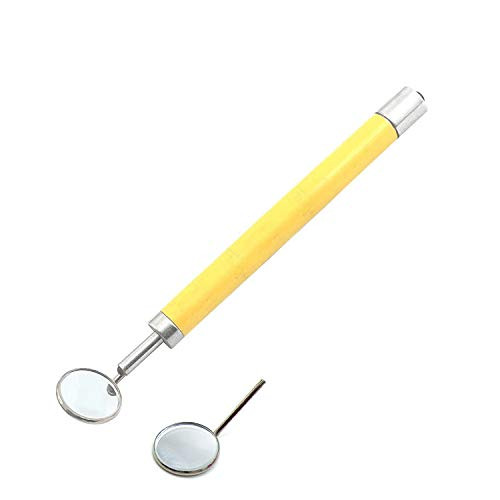 OdontoMed2011 Dental Mirror Yellow Handle with Bright Light Removable Mirrors 4 and 5 Dental Instruments OdontoMed2011 Dental Mirror Yellow Handle with Bright Light Removable Mirrors 4 and 5 Dental Instruments