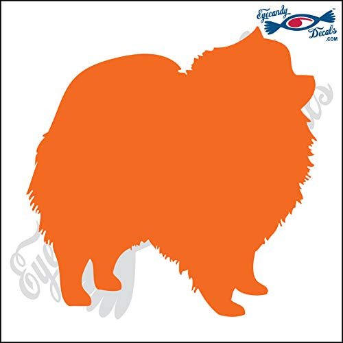 Eyecandy Decals Pomeranian Dog Standing 5" Orange Decal