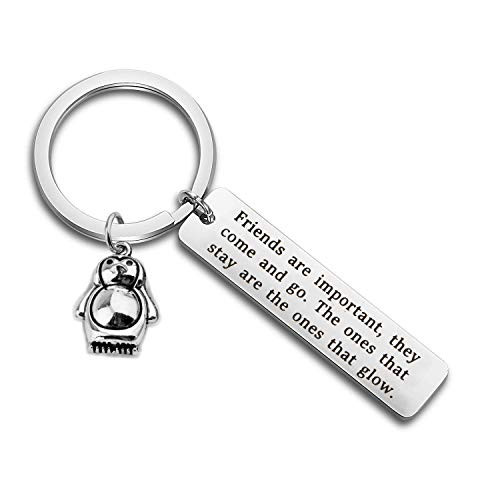 FEELMEM Penguin Gifts Best Friend Keychain Friends are Important They Come and Go Keychain BFF Graduation Gifts Long Distance Relationships Gifts -Silver-