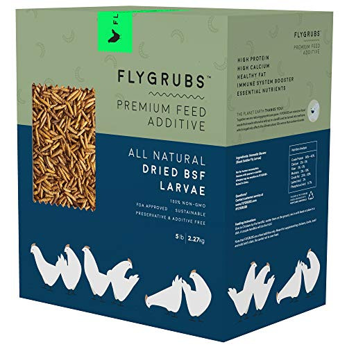 FLYGRUBS Superior to Dried Mealworms for Chickens (5 lbs) - 85X More Calcium Than Meal Worms - Non-GMO Chicken Feed & Molting Supplement - FDA Approved BSF Larvae Treats for Hens, Ducks, Birds