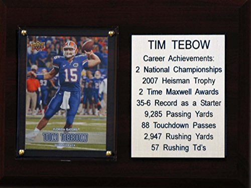 C and I Collectables NCAA Florida Gators Tim Tebow Career Stat Plaque, 6" x 8", Brown