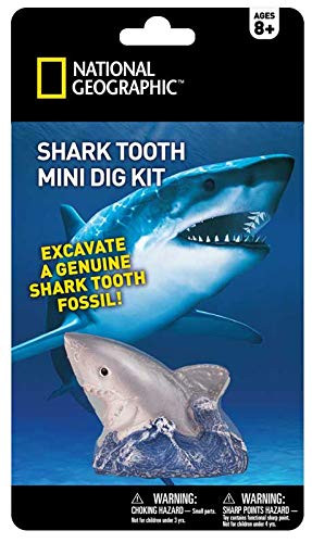 Collect National Geo - Shark Tooth - Mini Dig Kit Excavate a Genuine Shark Tooth Fossil Where Fun and Education Meet