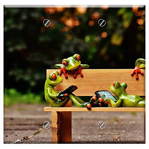 Double Blank Wall Plate Cover - Frogs Computer Bank Bench Relaxed Figure Funny 2