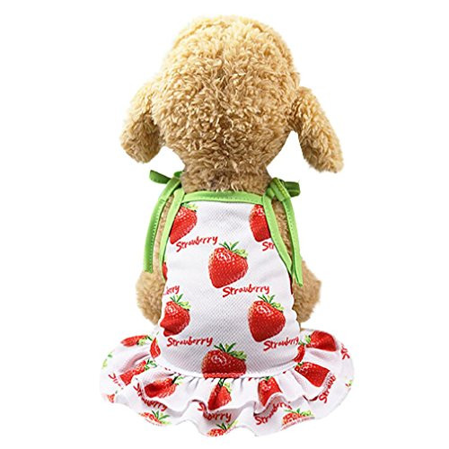 OOEOO Pet Shirt Couple Dress Puppy Dog Princess Doggie Apparel Costume Clothing -Strawberry Dress, S- OOEOO Pet Shirt Couple Dress Puppy Dog Princess Doggie Apparel Costume Clothing -Strawberry Dress, S-