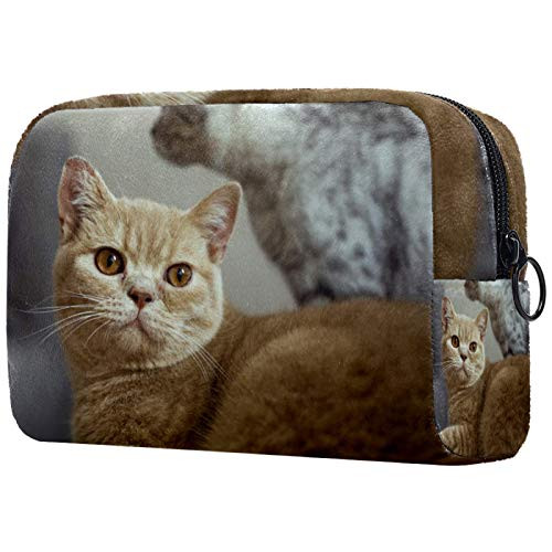 Makeup Bag Toiletry Bags Cosmetics Organizer Zipper Pouch for Women orange cat kitten