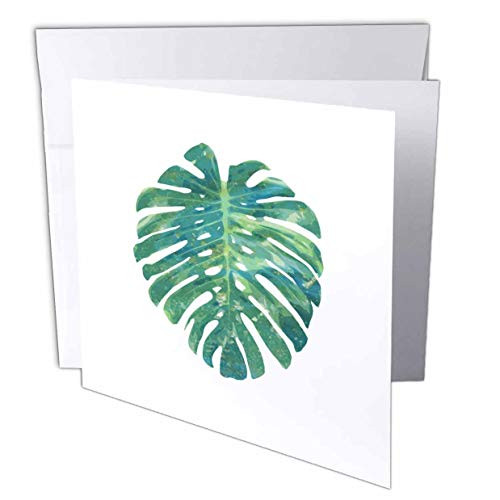 3dRose Cassie Peters Floral - Tropical Monstera Leaf - Greeting Cards -gc-326225-5- 3dRose Cassie Peters Floral - Tropical Monstera Leaf - Greeting Cards -gc-326225-5-