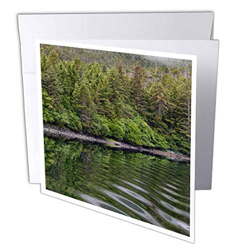 3dRose USA, Alaska, Tongass National Forest. Boat Wake in Mirror. - Greeting Cards -gc-345818-5-