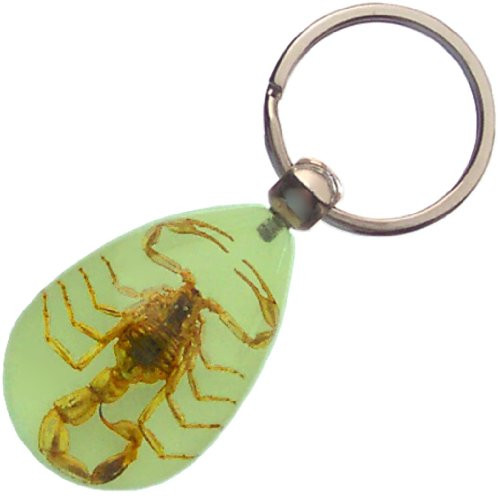 Real Insect Glow-in-the-Dark Key Chain - Scorpion Real Insect Glow-in-the-Dark Key Chain - Scorpion