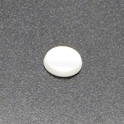 Bach Bundy Trumpet TR300H Finger Button Pearl -1-