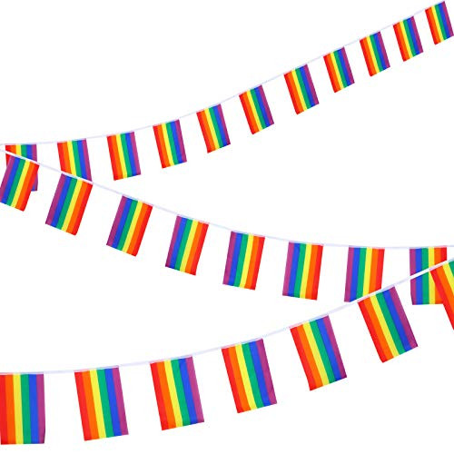 37YIMU 2 Pack Rainbow Pride Flag on String LGBT Pride String Flag 6 Stripes Flag Banners for Pansexuality Bisexuality Transgender Gay Lesbian Pride Bars Decoration - 16 Feet 20 Flags