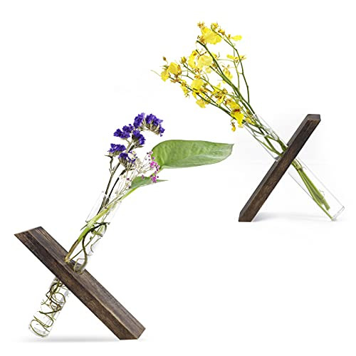 Mikiwon Plant Terrariums with Wooden Stand,2 Set Glass Desktop Vase with Retro Wooden Stand, Planter Propagation Station Test Tube Planter for Hydroponics Home Office Decoration Mikiwon Plant Terrariums with Wooden Stand,2 Set Glass Desktop Vase with Retro Wooden Stand, Planter Propagation Station Test Tube Planter for Hydroponics Home Office Decoration