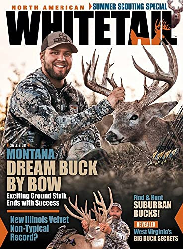 North American Whitetail