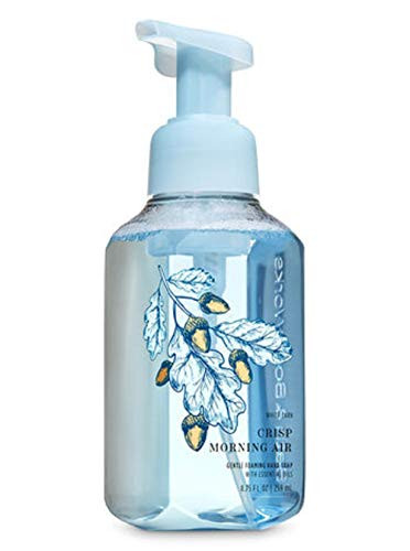 White Barn Bath and Body Works Crisp Mourning Air Gentle Foaming Hand Soap 8.75 Ounce Wash Acorn Label