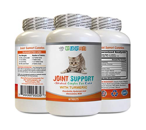 MY LUCKY PETS LLC cat Joint Problem - CAT Joint Support with Turmeric Complex - Hip Care - Premium MSM - glucosamine and chondroitin sulfate for Cats - 1 Bottle -60 Chewable Tablets- MY LUCKY PETS LLC cat Joint Problem - CAT Joint Support with Turmeric Complex - Hip Care - Premium MSM - glucosamine and chondroitin sulfate for Cats - 1 Bottle -60 Chewable Tablets-