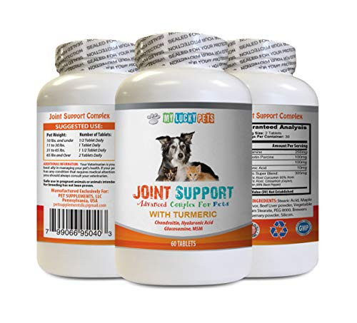 Hip and Joint for Cats - Pets Joint Support with Turmeric and MSM - Dogs and Cats - Premium Complex - glucosamine chondroitin Dogs and Cats - 1 Bottle -60 Tablets-