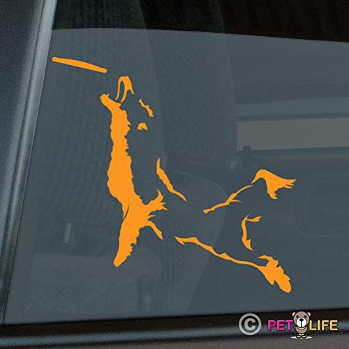 Mister Petlife Border Collie Frisbee Disc Dog Sticker Vinyl Auto Window v3 Orange 9.50" x 9.17"