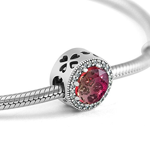 925 Solid Sterling Silver Charm Dazzling Blue Crystal Radiant Hearts Star Bead Charms Fit Pandora Charms Bracelets  and  Necklace Jewelry Making for Women Girls -Radiant Hearts,Coloured CZ-