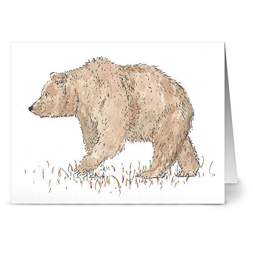 Note Card Cafe All Occasion Greeting Cards with Envelopes Included - 24 Pack - Blank Inside, Glossy Finish - Unique Forest Bear Design - Set for Greeting Cards, Occasions, Birthdays