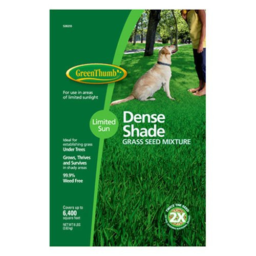 BARENBRUG USA 528255 GT 8 lb Shade Grass Seed