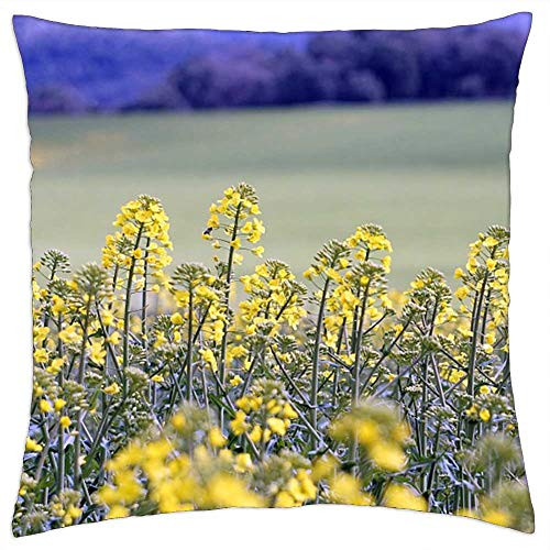LESGAULEST Throw Pillow Cover -18x18 inch- - Rape Plantation Field Harvest Yellow Plants Crops LESGAULEST Throw Pillow Cover -18x18 inch- - Rape Plantation Field Harvest Yellow Plants Crops