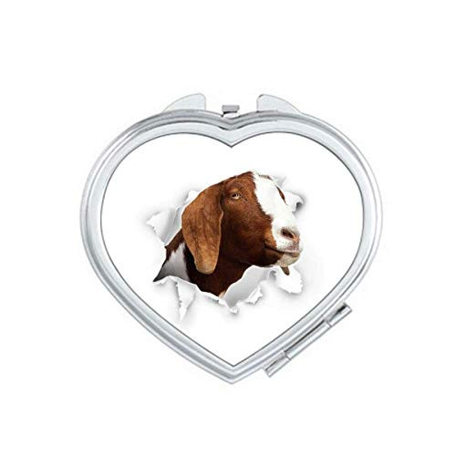 Animal Paper Breaking Shock Expressions Mirror Travel Magnification Portable Handheld Pocket Makeup Animal Paper Breaking Shock Expressions Mirror Travel Magnification Portable Handheld Pocket Makeup