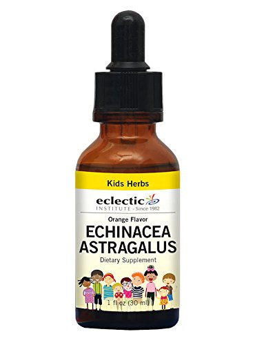 Eclectic Echinacea Astragalus Kid, Orange, 1 Ounce