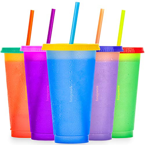 Color Changing Cups with Lids and Straws for Adults - 5 Reusable Plastic Tumblers with Lids and Straws in Summer Colors, 24oz Iced Coffee Cup, Smoothie Cups with Lids and Straws, Tumbler with Straw