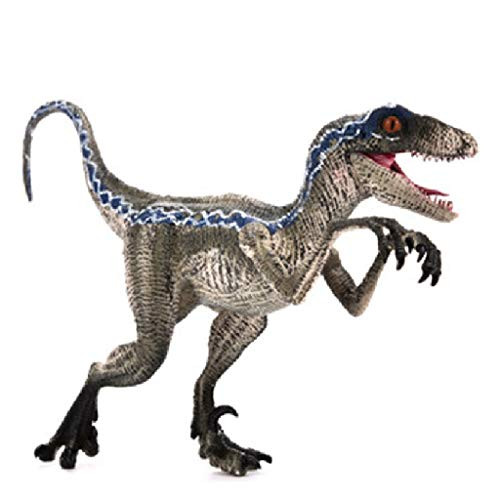 Jurassic World Dinosaur Toy 8.7",Realistic Dinosaur Toy Figures,Jurassic Toys,High Simulation Hand-Painted Real Feel Animal Model,Collection Gift for Kids Dino Toy,Blue Velociraptor