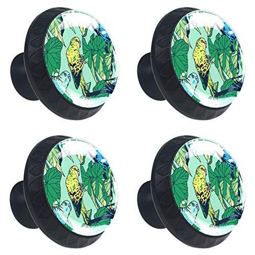 4 Pack with Screws Knobs for Kitchen Cabinets Crystal Glass Drawer Pulls and Knobs 1.18 Cupboard Handles for Dressers Wardrobes Bedside Table Nightstand Bookcase,Parrot Tropical