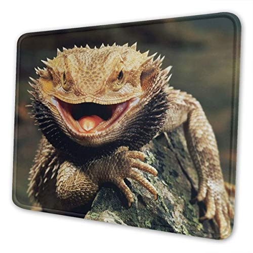 Bearded Dragon Lizards Mouse Pad with Stitched Edge Premium-Textured Mouse Mat Non-Slip Rubber Base Mousepad for Laptop Computer  and  Pc Gaming Office Home 10 X 12 Inch