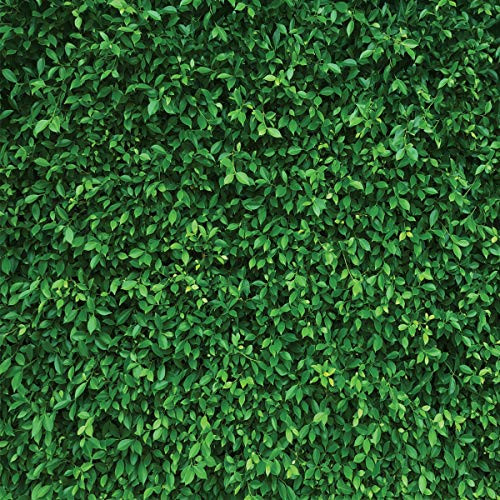 LYWYGG 8x8FT Green Leaves Photography Backdrops Mmicrofiber Nature Backdrop Birthday Background for Birthday Party Seamless Photo Booth Prop Backdrop CP-87-0808 LYWYGG 8x8FT Green Leaves Photography Backdrops Mmicrofiber Nature Backdrop Birthday Background for Birthday Party Seamless Photo Booth Prop Backdrop CP-87-0808