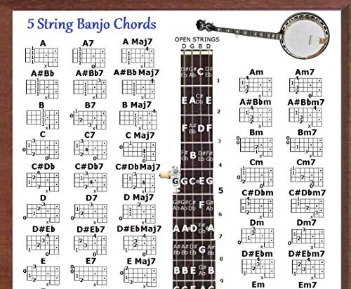 5 STRING BANJO CHORDS  plus 5 POSITION LOGO POSTER IN A TUBE