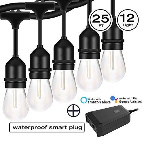 Electro bp Outdoor String Lights, Commercial Ambience Garden Lighting, Weatherproof Vintage Edison 1.1W S14 LED Bulbs Patio,Backyard,Party,Wedding (25, 12lights with Plug)