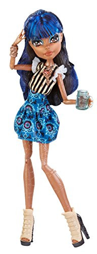 Monster High Coffin Bean Robecca Steam Doll