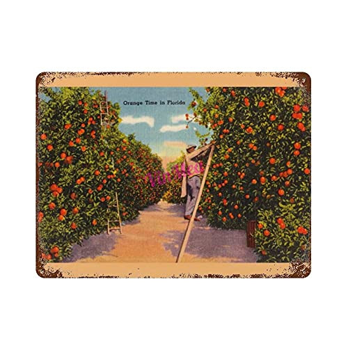 Vintage Iron Painting Vintage Florida Orange Groves Retro Metal Signs Poster Wall Decor for Bar Cafe Home Garage 8x12 inches