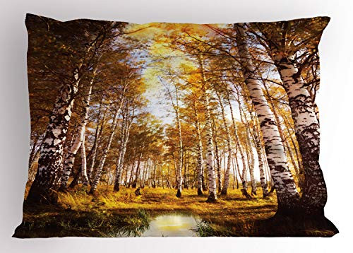 Ambesonne Tree Pillow Sham, Autumn Season Forest in Sun Rays Near The River in Morning Idyllic View Print, Decorative Standard Size Printed Pillowcase, 26" X 20", Yellow Brown White