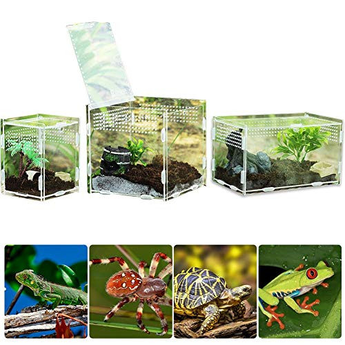 Pleasay Reptile Breeding Box Acrylic Feeding Box Feeding Hatching Container with Lid and Magnetic Button, 360 Degree High Transparent Reptile Habitat, for Mini Pet, Reptiles -Transparent-