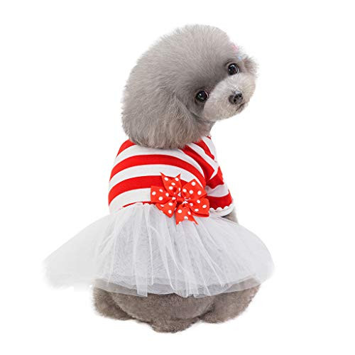 Wouke Dog Dresses for Small Dogs Girl - Lace Tutu Stripe Princess Skirt - Pet Clothes Puppy Shirt Vest Wouke Dog Dresses for Small Dogs Girl - Lace Tutu Stripe Princess Skirt - Pet Clothes Puppy Shirt Vest