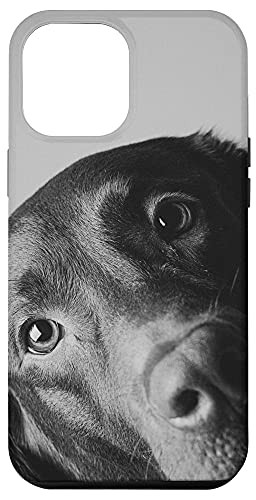 iPhone 12 Pro Max Black Labrador Retriever Chocolate Lab Dog Mom Dad gifts- Case